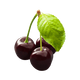 Black Cherry