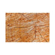 Cedarwood
