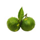 Green Mandarin