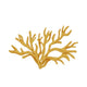 Oak Moss