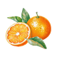 Sicilian Orange
