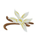 Madagascar Vanilla